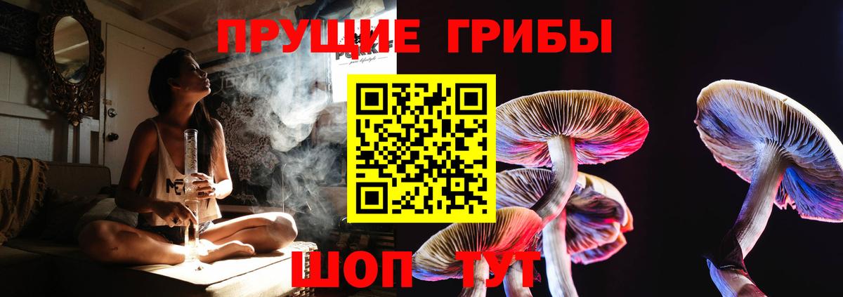 Галлюциногенные грибы Magic Shrooms  Вход с VPN  Краснокаменск 